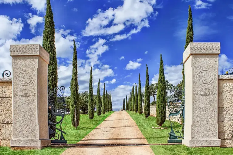 Wedding at Histria Aromatica, Istria